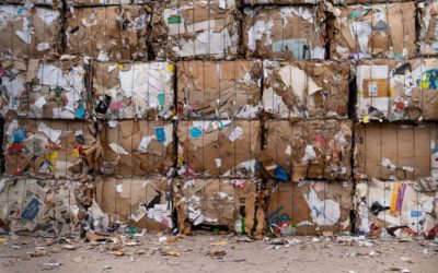 Co vše se dá považovat za recyklaci odpadu, či v  jaké fázi sběru, dotřiďování a zpracovávání odpadu bychom měli zjišťovat, jak velká část ho byla zrecyklována?